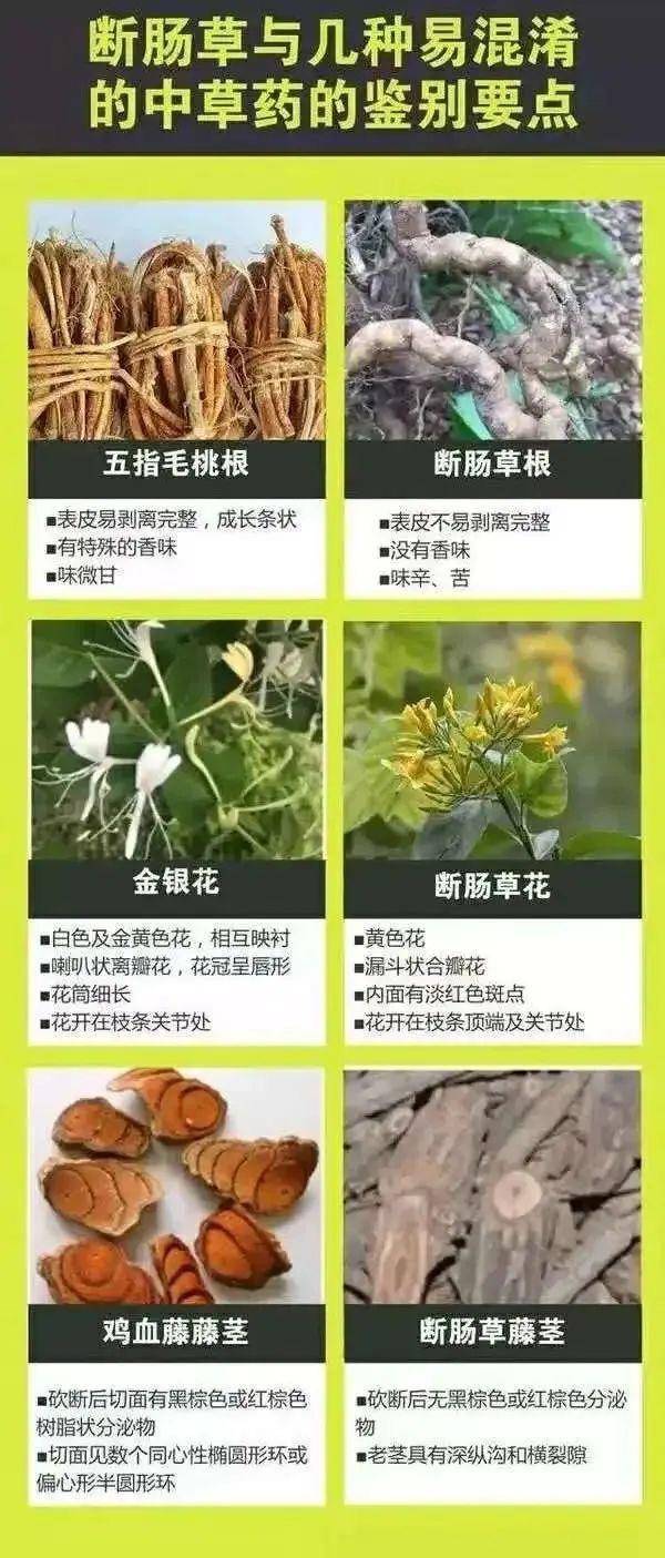 广东一老人买药材煲汤中毒身亡 当地：店铺误售断肠草<strong></p>
<p>宝路达虚拟币交易</strong>，老板被拘留