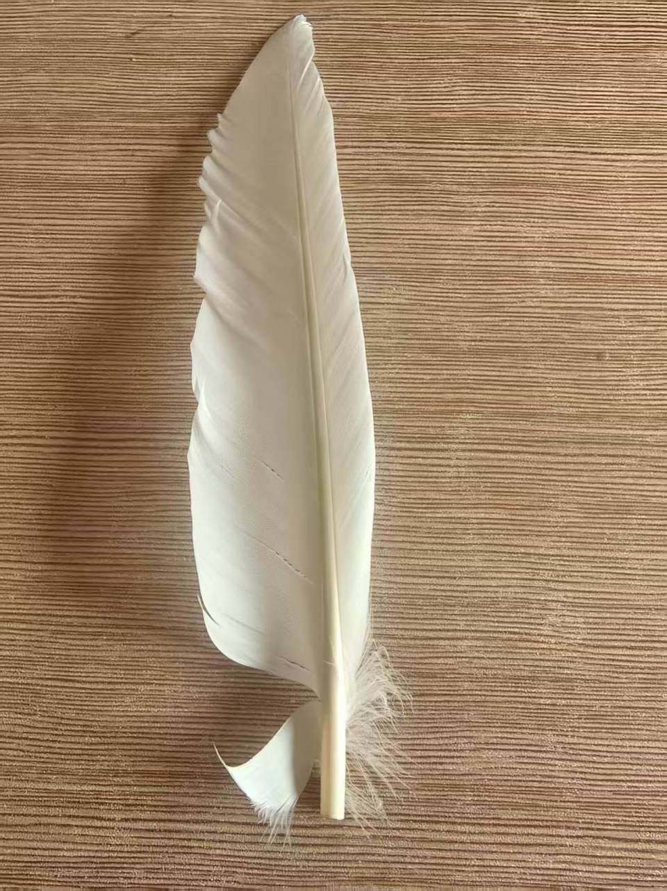 羽毛球又又又涨价<strong></p>
<p>上期原油</strong>，球友破防：月花三千扛不住，打球人的天塌了