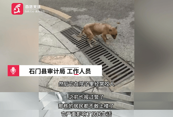 保安称“经常咬人”打死流浪犬<strong></p>
<p>美国原油交易时间</strong>，居民上门讨说法：这个门卫穷凶极恶