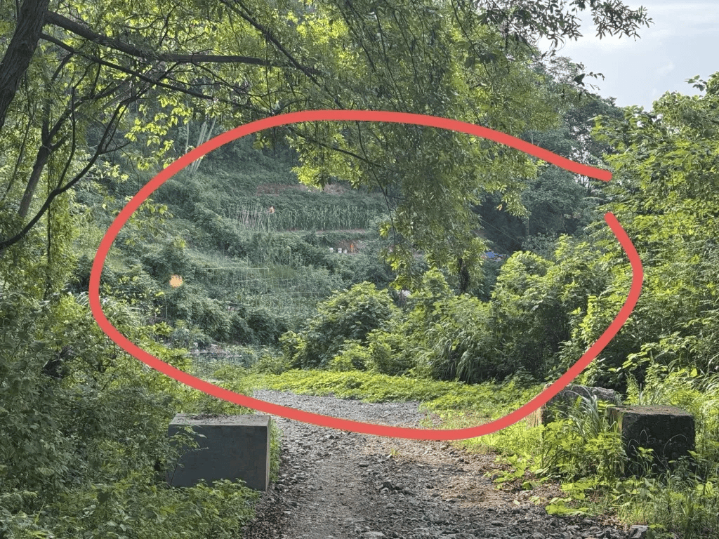 杭州女子误踩“化骨水”身亡<strong></p>
<p>黄金原油早评</strong>，当地：已锁定化学品所有者，发现三桶，一桶完整，两桶残余