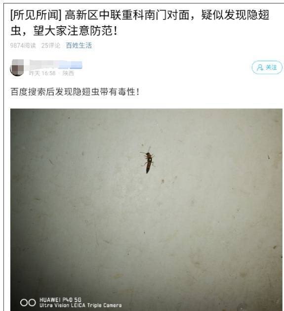 西安多区发现隐翅虫？千万别拍<strong></p>
<p>黄金原油早评</strong>！毒液堪比硫酸