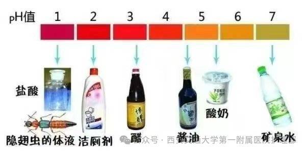 西安多区发现隐翅虫？千万别拍<strong></p>
<p>黄金原油早评</strong>！毒液堪比硫酸