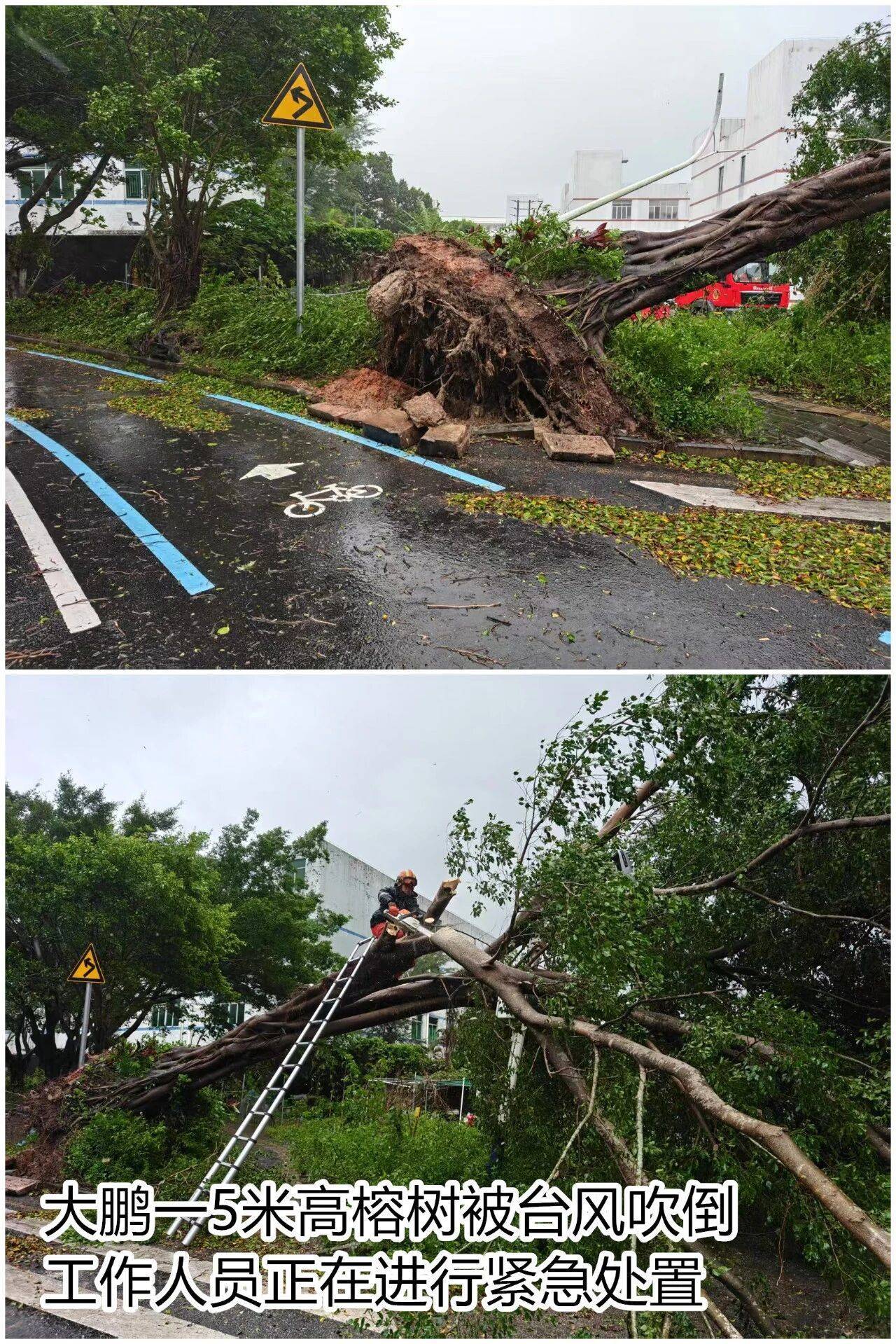 台风夜<strong></p>
<p>原油美女</strong>，深圳有人溺水！紧急！“桦加沙”过境，这些画面泪目