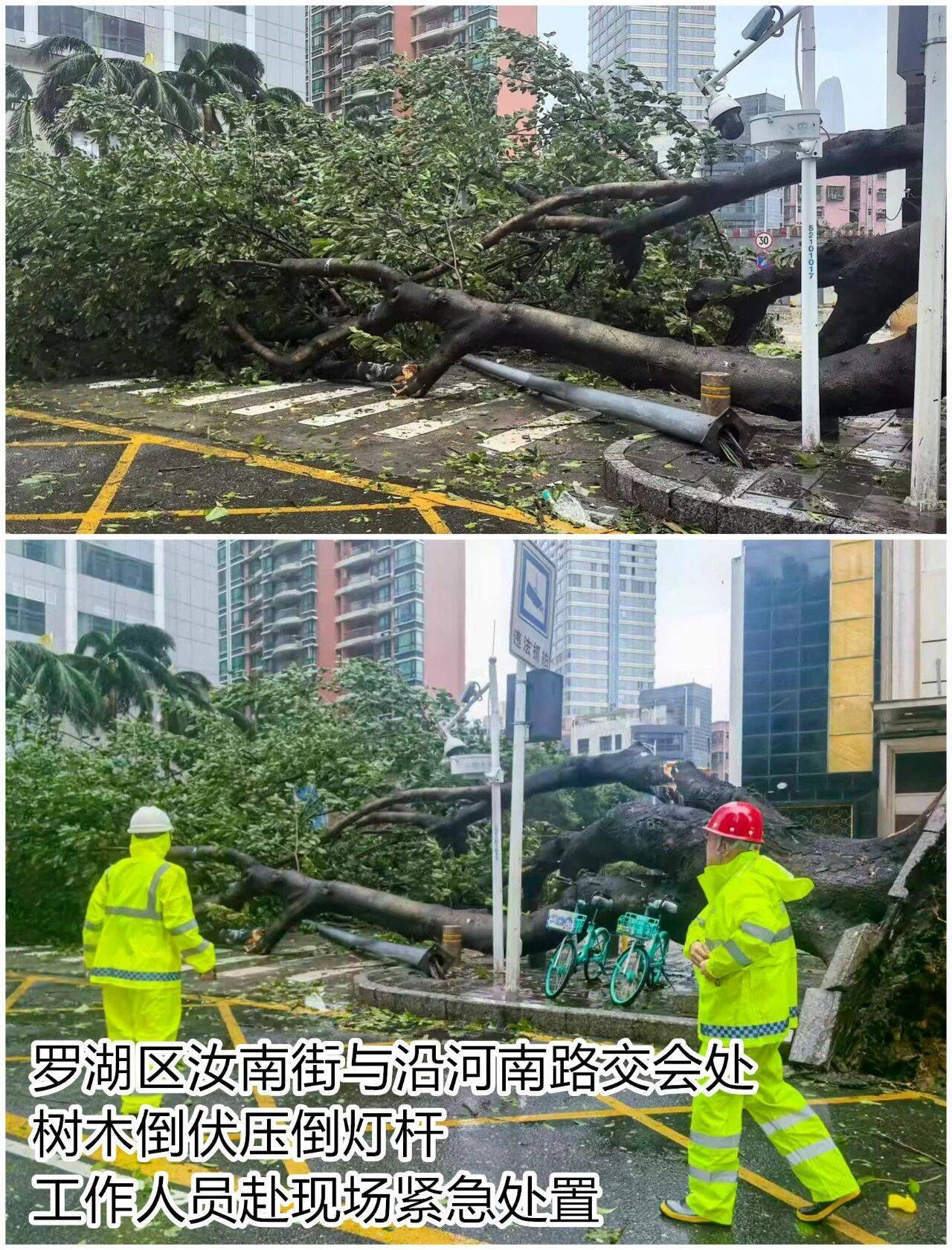 台风夜<strong></p>
<p>原油美女</strong>，深圳有人溺水！紧急！“桦加沙”过境，这些画面泪目