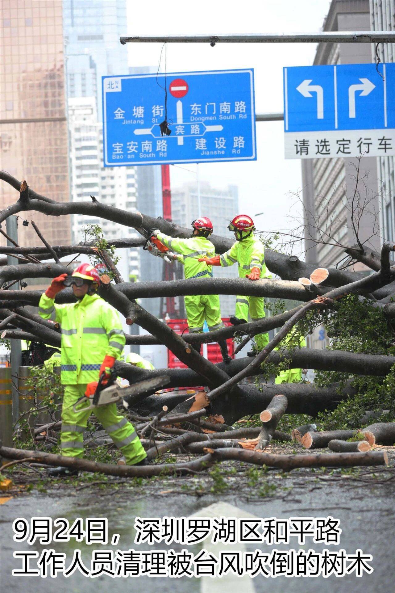 台风夜<strong></p>
<p>原油美女</strong>，深圳有人溺水！紧急！“桦加沙”过境，这些画面泪目