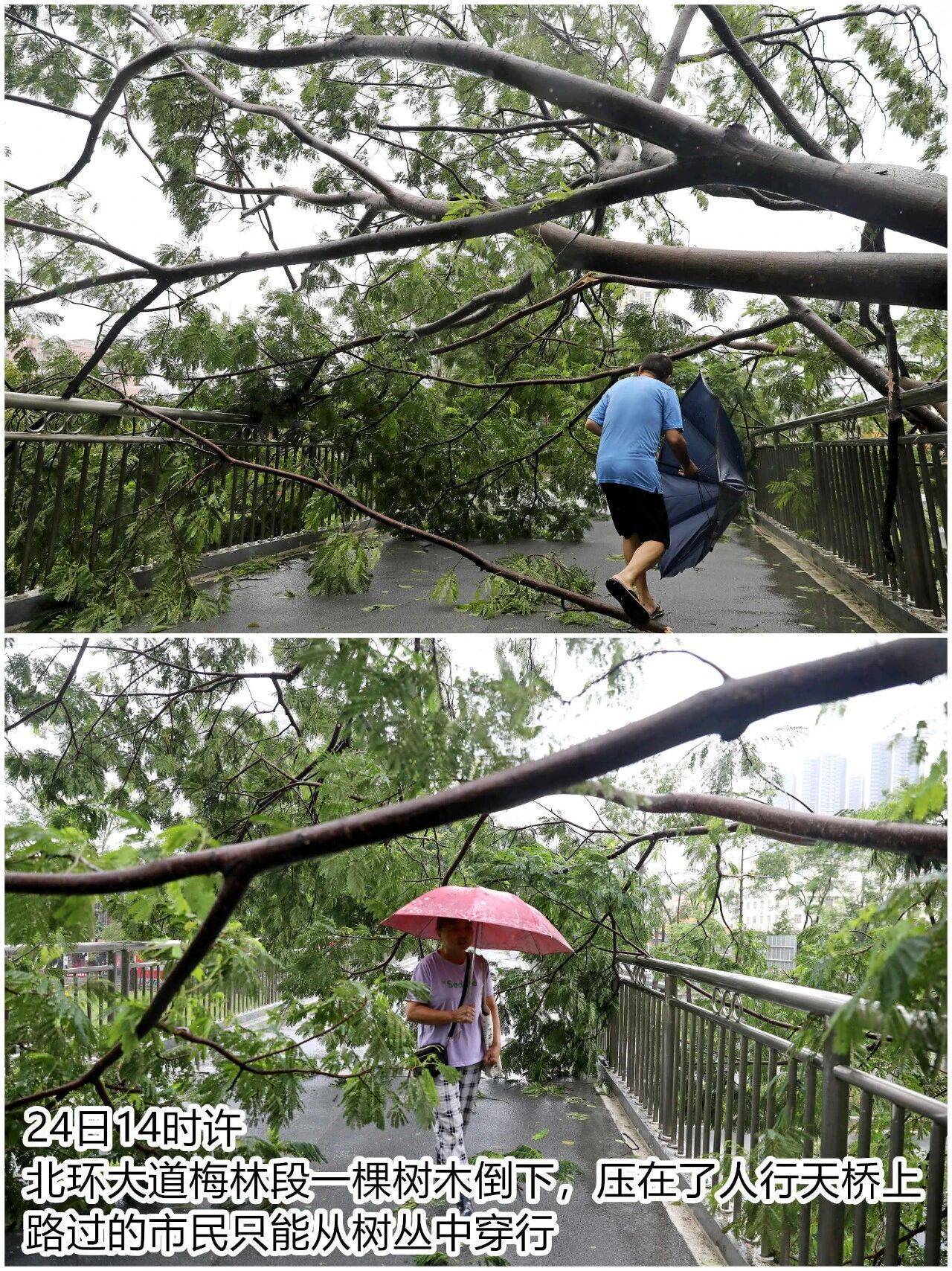 台风夜<strong></p>
<p>原油美女</strong>，深圳有人溺水！紧急！“桦加沙”过境，这些画面泪目