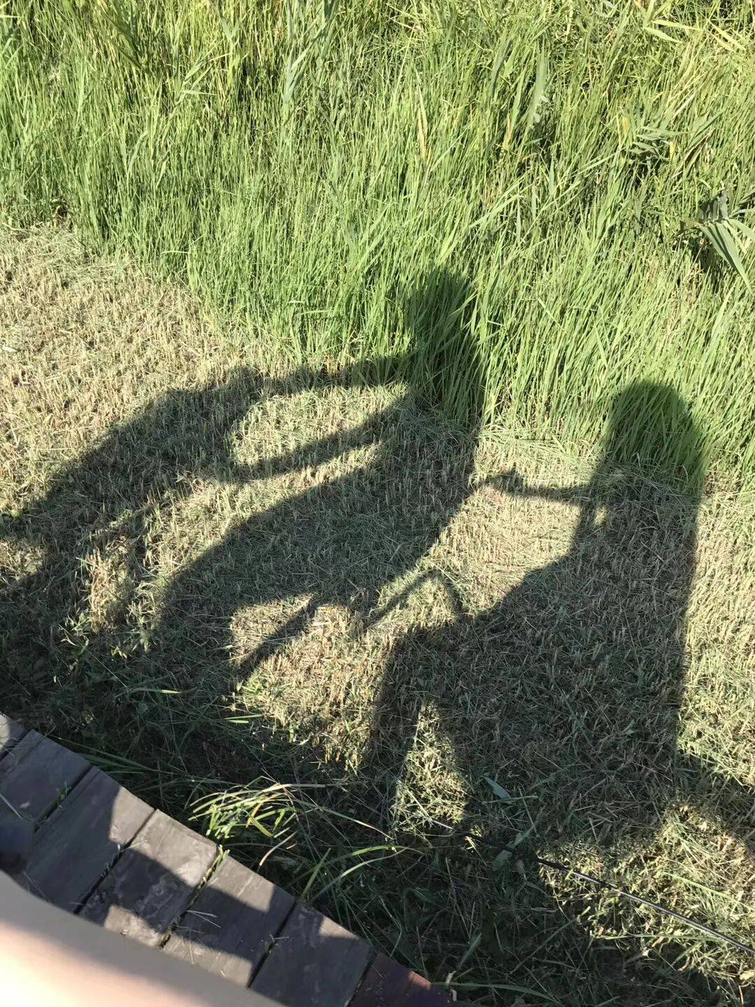 纸质火车票退场<strong></p>
<p>融原油</strong>，每道折痕里都藏着远方、爱情与山河记忆