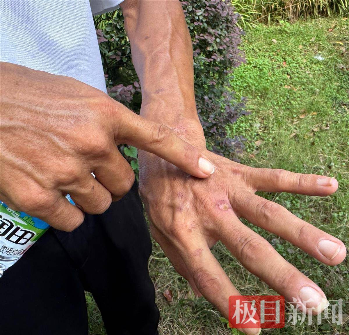 “鸡排哥”赚得盆满钵满购置多套房产？当事人幽默回应：还没到一个亿<strong></p>
<p>切原油</strong>，你多来，我才能多卖2份