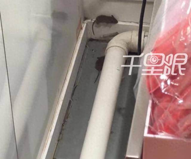 网曝蜜雪冰城一门店有多只老鼠横行<strong></p>
<p>切原油</strong>，涉事门店员工回应