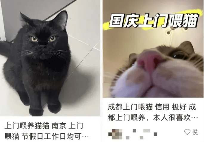 这个需求激增！一男子连接270单<strong></p>
<p>石油原油图片</strong>，其中一笔收费8100元