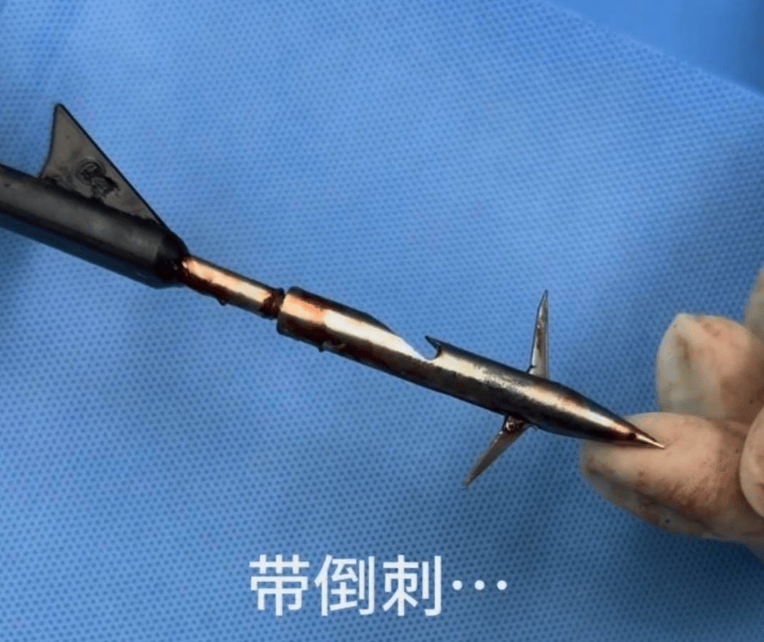教育局回应“一教师用弓箭射杀小狗”：不实<strong></p>
<p>原油户</strong>，小狗进学校前就被射伤
