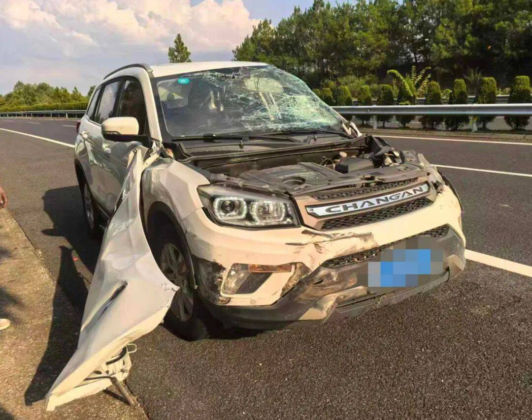 “我撒谎天打雷劈！”男子高速突然强行变道致翻车<strong></p>
<p>原油户</strong>，反诬赖对方