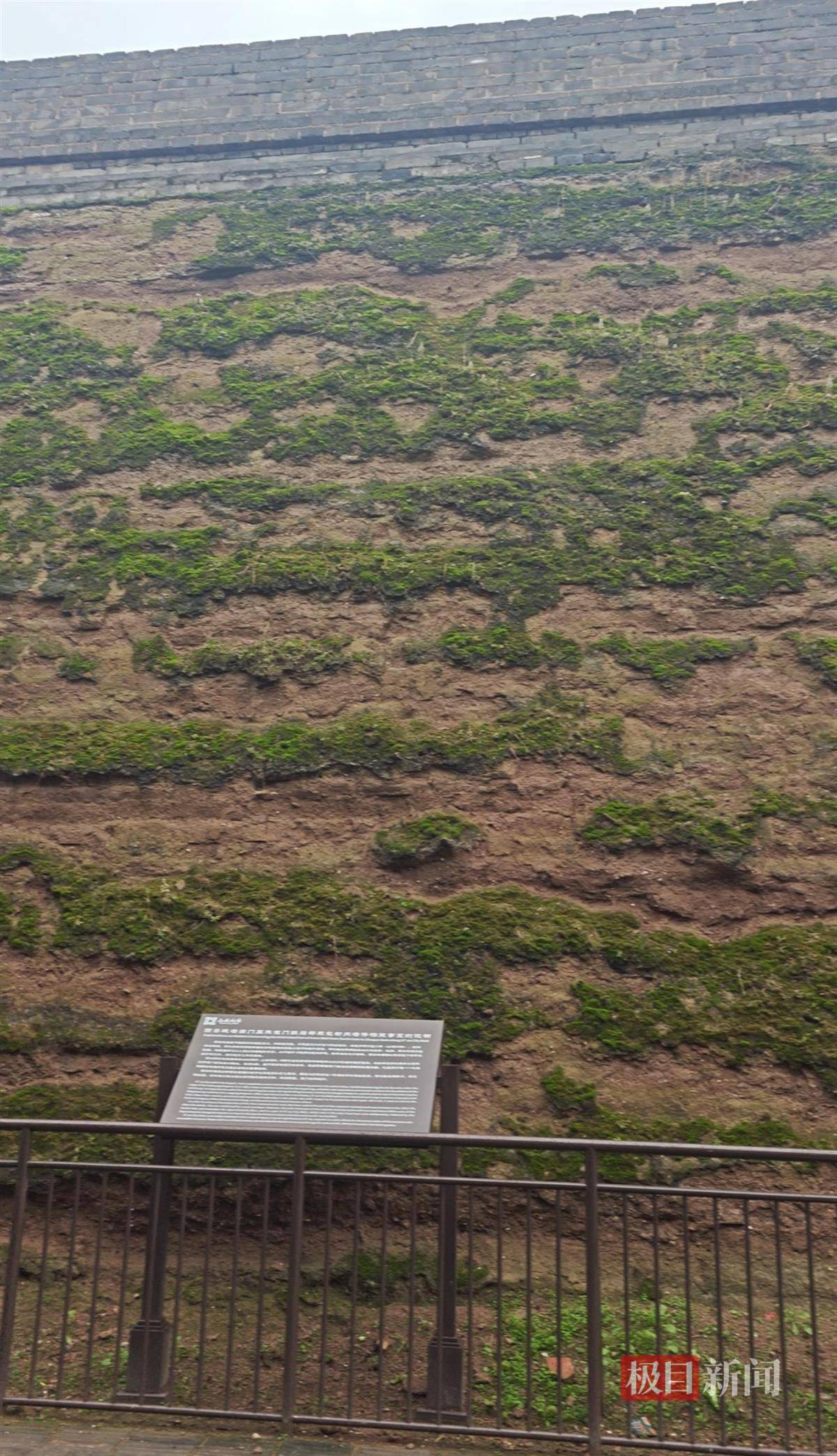 西安连续一个多月降雨遍地长蘑菇<strong></p>
<p>点差原油</strong>，大雁塔受潮，城墙布满青苔，气象局解释成因