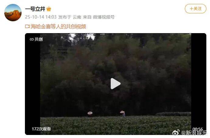 李亚鹏官宣与海哈金喜离婚：已经办理了离婚手续<strong></p>
<p>现货原油走势</strong>，孩子跟随母亲生活，由双方抚养