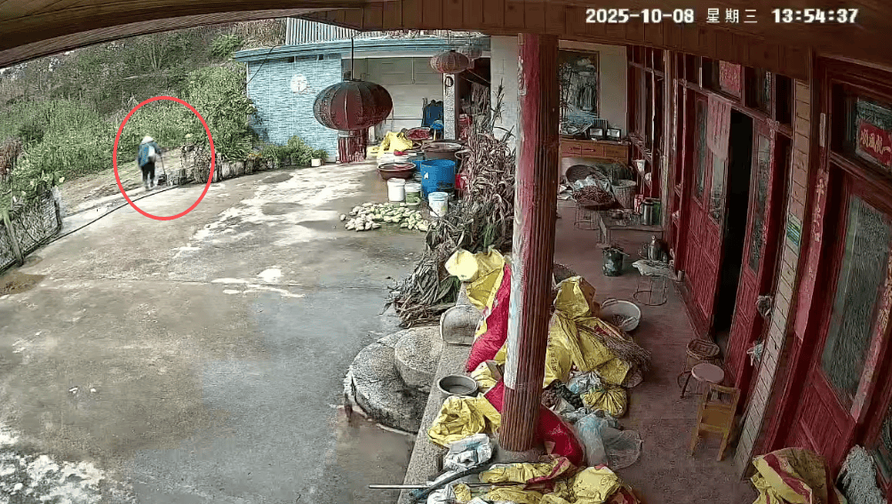 93岁老人进山失联<strong></p>
<p>现货原油诈骗</strong>，两天后发现他倒挂在树杈上苦撑……