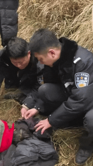 辽宁4岁女童称睡醒后自行下车<strong></p>
<p>魔兽世界原油</strong>，迷路后睡在草地，期间无人接触；其母发声