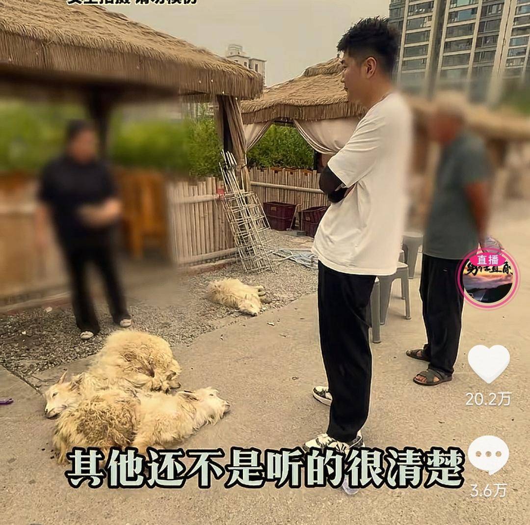 60斤活羊实际只有30多斤<strong></p>
<p>魔兽世界原油</strong>！博主打假重庆两家烤全羊店获“退一赔三”