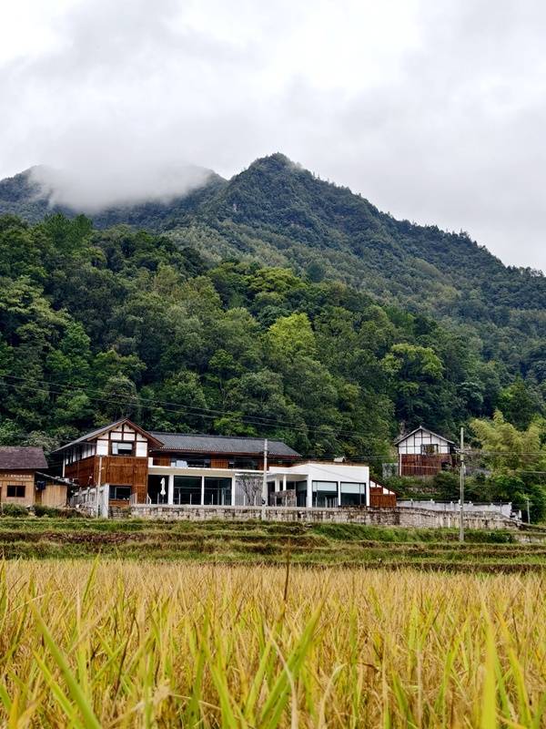 推窗见梯田<strong></p>
<p>美原油06</strong>！梧桐山民宿：把日子过成诗