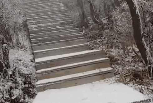 石家庄下雪了<strong></p>
<p>美原油现货</strong>！河北雨雪上线！新一股冷空气在路上……