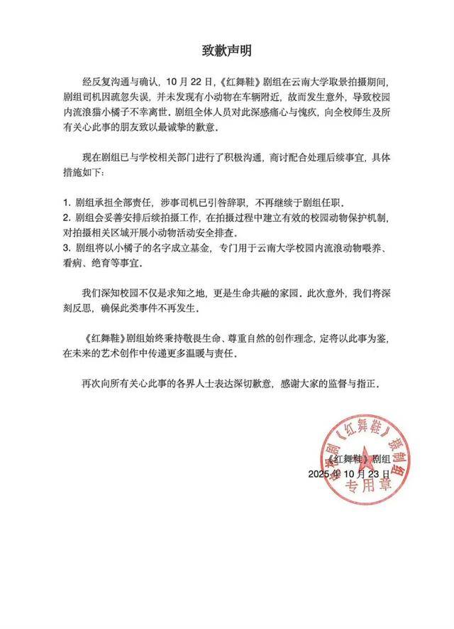 《红舞鞋》剧组在高校拍摄时撞死流浪猫<strong></p>
<p>现货美原油</strong>，剧组凌晨致歉：涉事司机引咎辞职，将以小猫名字成立基金