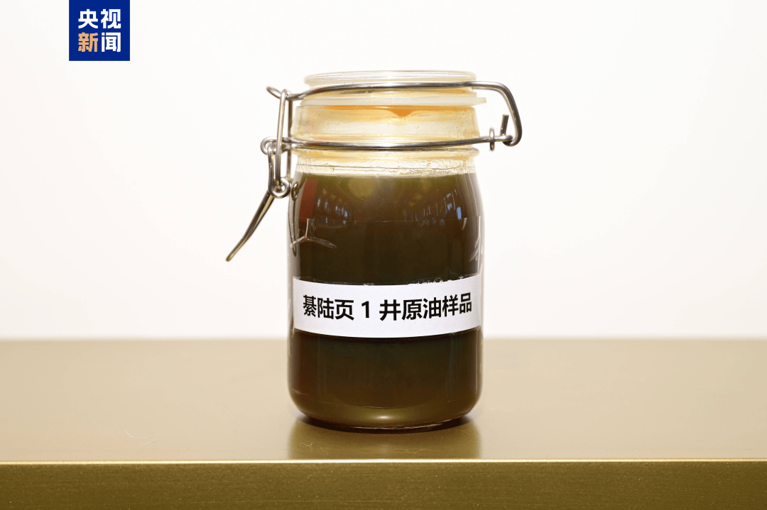 我国发现亿吨级页岩油资源<strong></p>
<p>布伦原油</strong>!