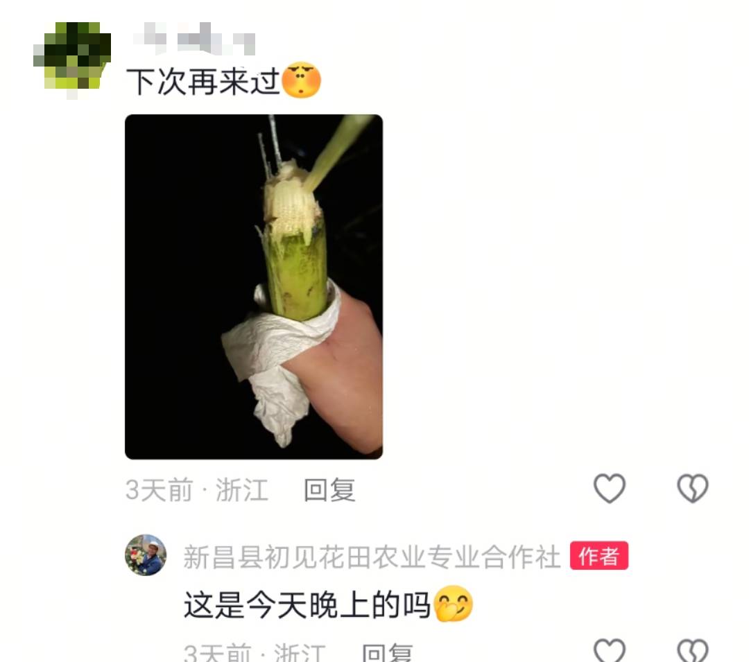 浙江一“可偷甘蔗地”成打卡点<strong></p>
<p>布伦原油</strong>,上百网友深夜体验,80后“地主”:已收偷款6千元