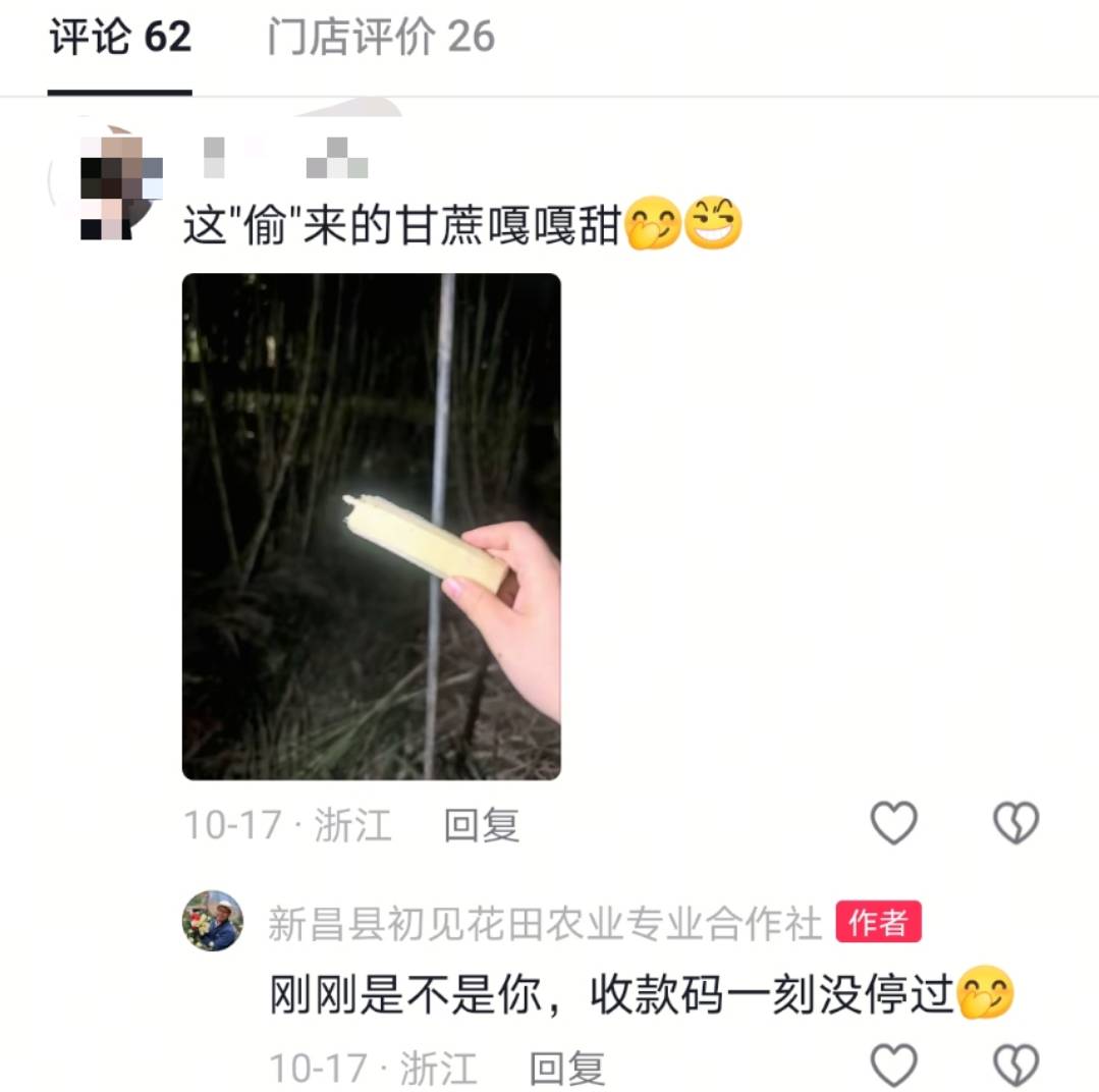浙江一“可偷甘蔗地”成打卡点<strong></p>
<p>布伦原油</strong>,上百网友深夜体验,80后“地主”:已收偷款6千元