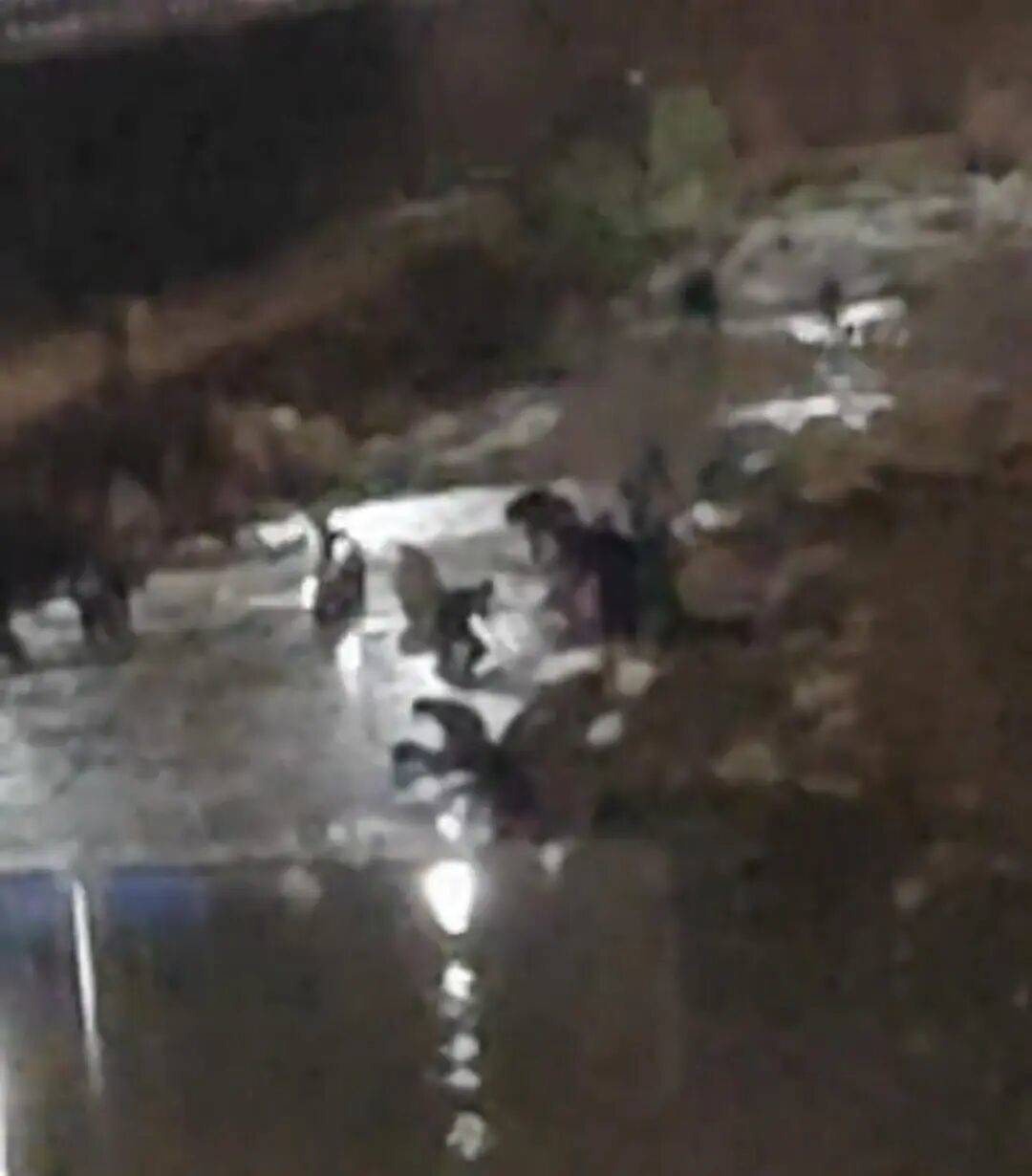 “一盆出5克多”<strong></p>
<p>上期所原油期货</strong>,多人凌晨下河淘金!当地警方回应