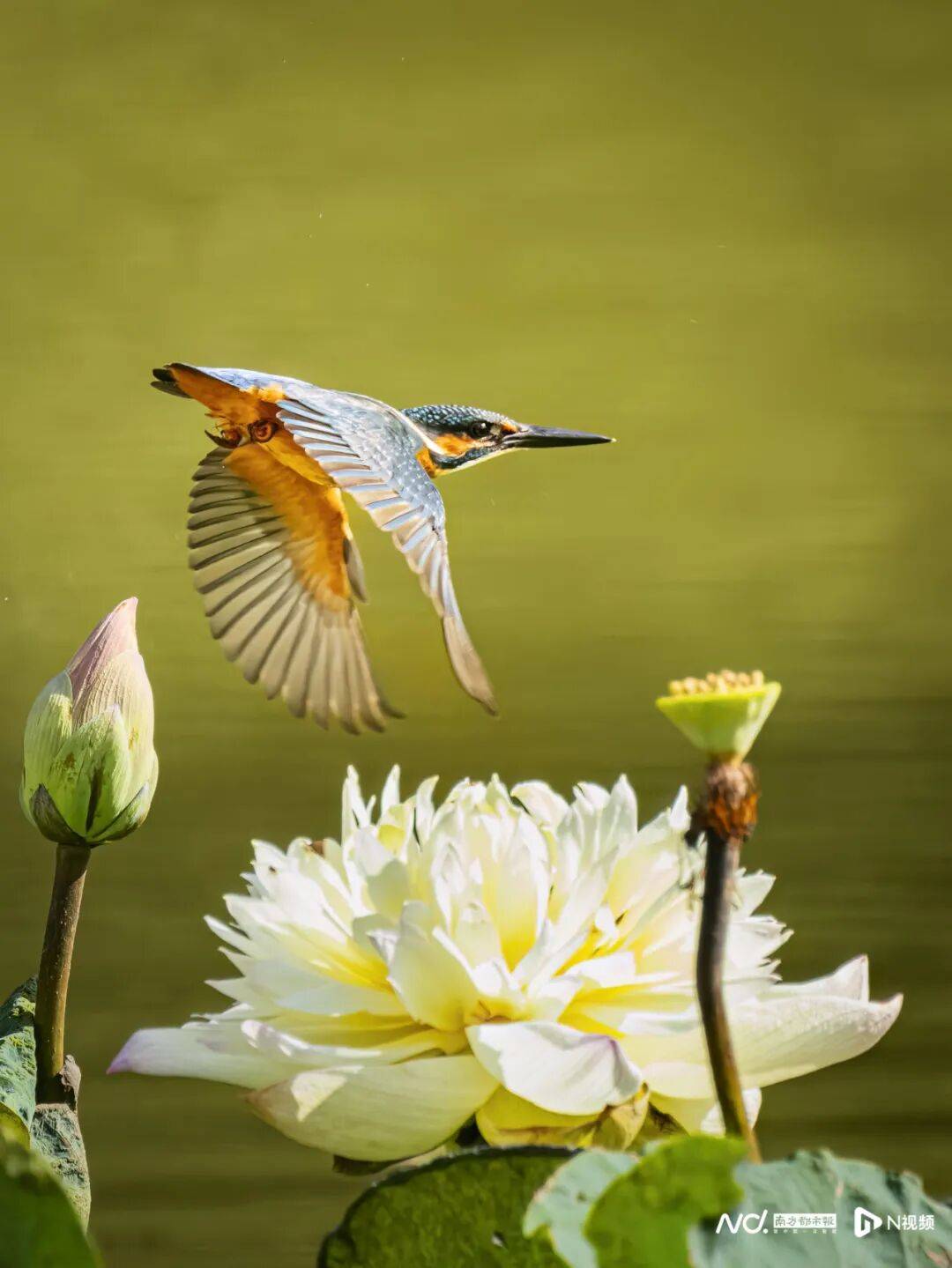 东莞最新发布:将严厉打击这些行为<strong></p>
<p>中信证券无券可融</strong>!