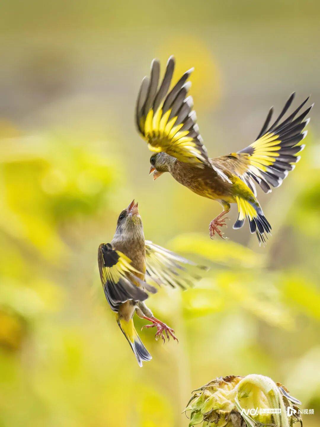 东莞最新发布:将严厉打击这些行为<strong></p>
<p>中信证券无券可融</strong>!