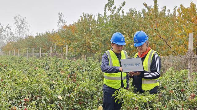 安阳移动内黄分公司：满格信号为丰收之旅添彩