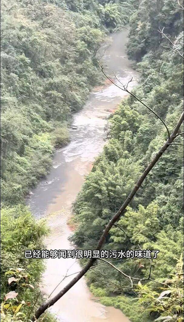 重庆通报：坚决查处<strong></p>
<p>华林证券通达信行情</strong>，绝不姑息