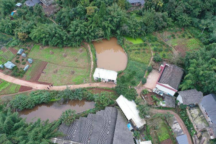 央视曝光“杀人蜂”滥养牟利引关注 四川犍为：正联合调查虎头蜂养殖情况