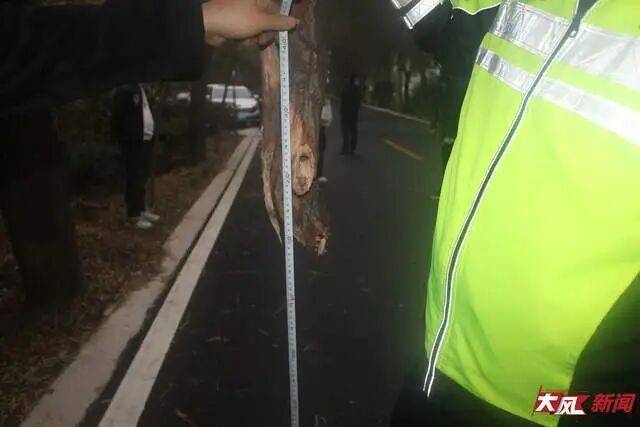 陕西兴平56岁女教师骑电动车“撞树枝”身亡<strong></p>
<p>华融证券小微融</strong>，交警判定担主责，家属提出诸多质疑，多方回应