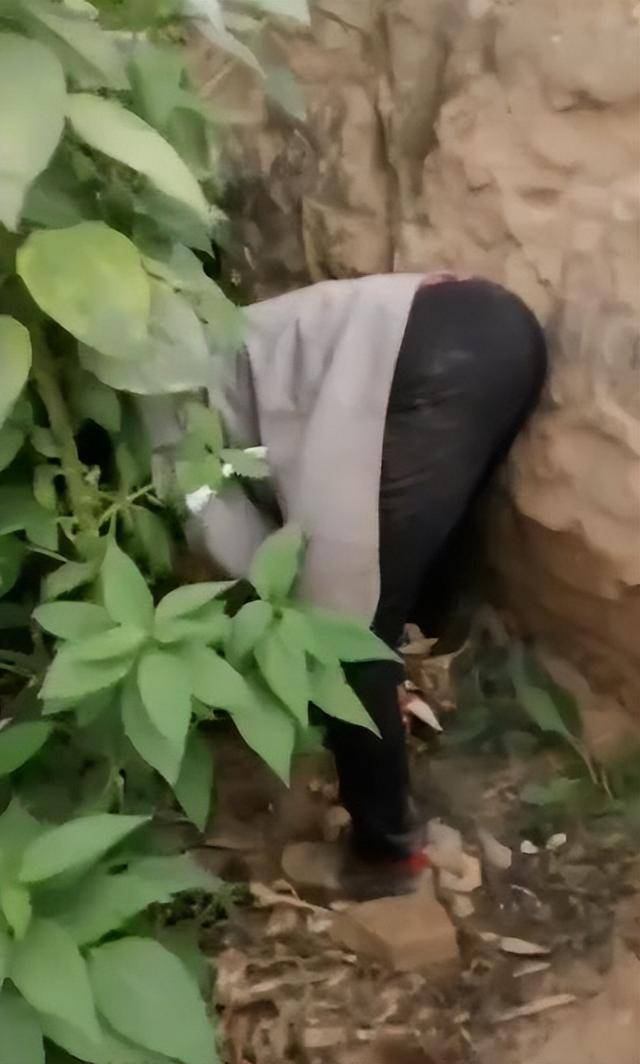 陕西一女子疑因拍亲姑姑偷玉米遭姑父棍杀<strong></p>
<p>盈透证券</strong>,邻居欲报警也遇害