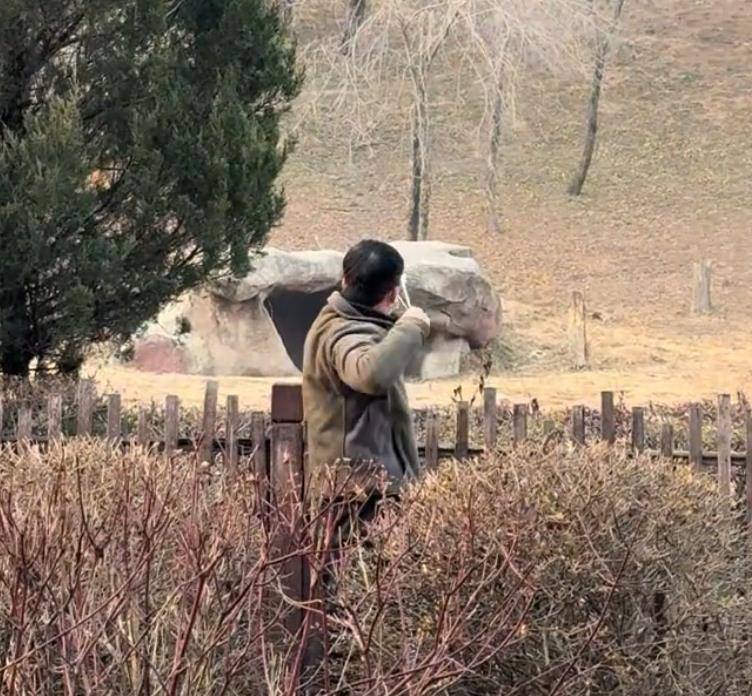 沈阳一男子动物园内用弹弓射老虎<strong></p>
<p>安全设备</strong>,目击者称其“填装了弹丸”,打完后老虎爬起来了,园方:正在核实情况