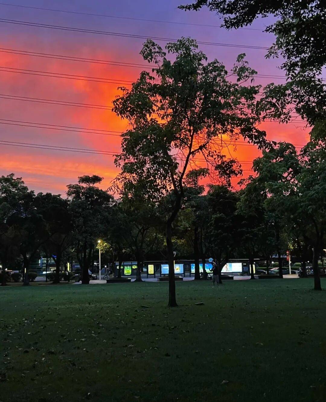 第一批丁克老后<strong></p>
<p>安全设备</strong>,“伴侣能陪一程,但最后都要靠自己”