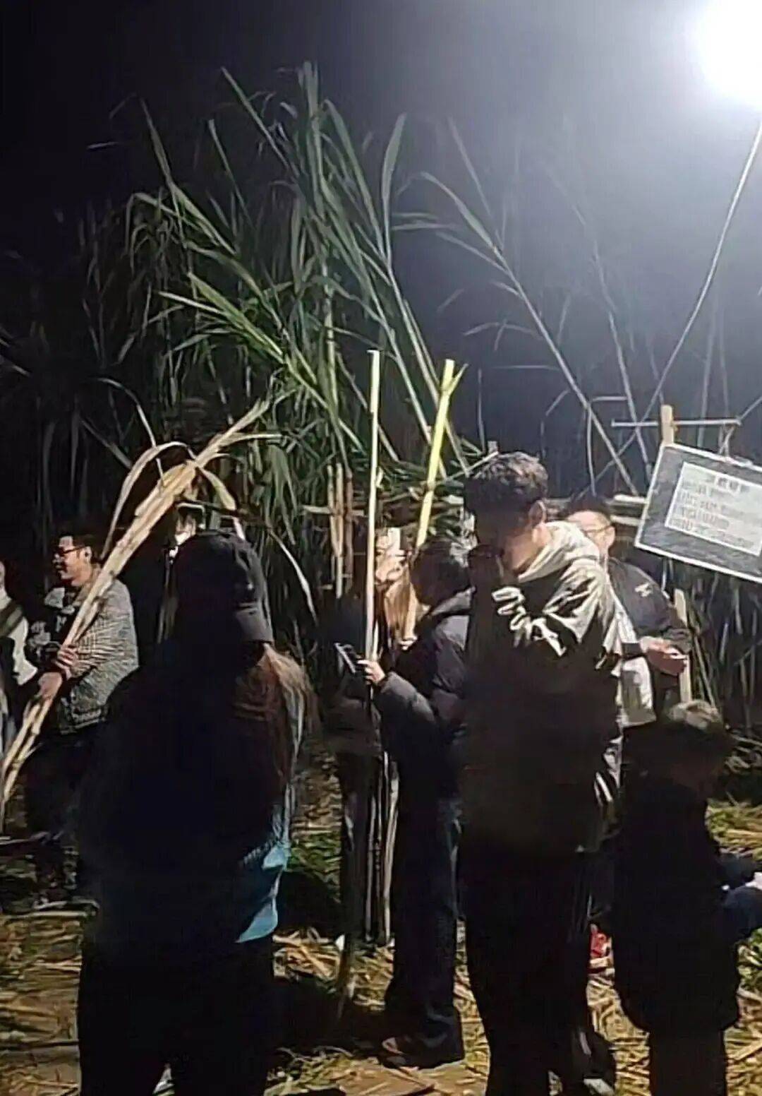 四川眉山“偷甘蔗农场”爆火!增设2.99元入场费后<strong></p>
<p>安全设备</strong>,地里仍来了上千游客,“偷甘蔗”被逮到的人要表演才艺,老板:日销售有时近万元