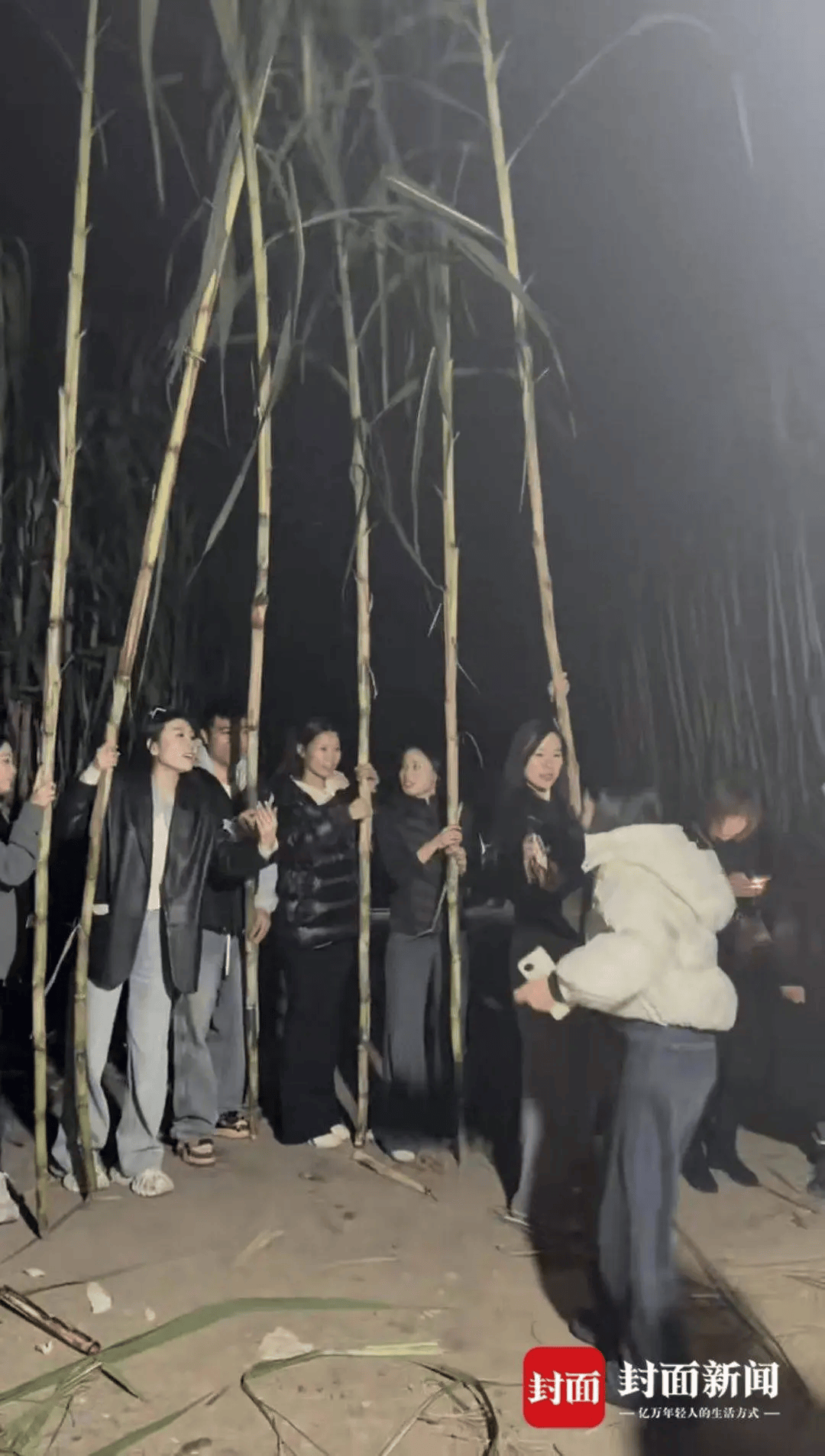 四川眉山“偷甘蔗农场”爆火!增设2.99元入场费后<strong></p>
<p>安全设备</strong>,地里仍来了上千游客,“偷甘蔗”被逮到的人要表演才艺,老板:日销售有时近万元