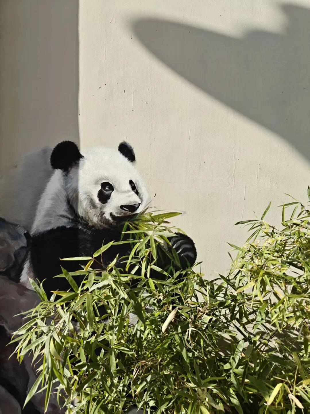 “颜值”出圈 天津和平区独山路这面彩绘墙“亮”<strong></p>
<p>恒生电子证券事业部</strong>了