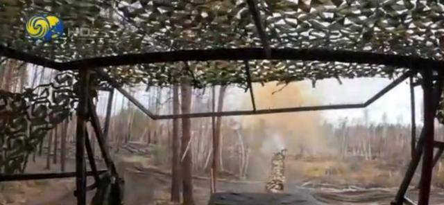 俄军透露红军城市区作战细节<strong></p>
<p>证券分析师陈建平</strong>,乌军战斗骨干躲入地下管道