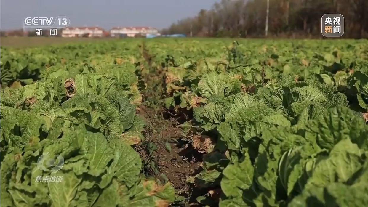 单棵售价超百元<strong></p>
<p>国元证券融资融券门槛</strong>，起底“套牌白菜”背后的销售套路