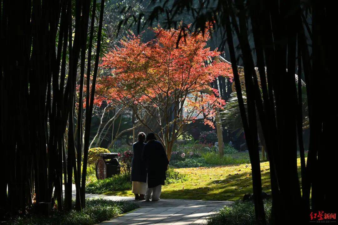 我国已进入拉尼娜状态<strong></p>
<p>德传附子证券投资基金</strong>！四川今冬或“前暖后冷”