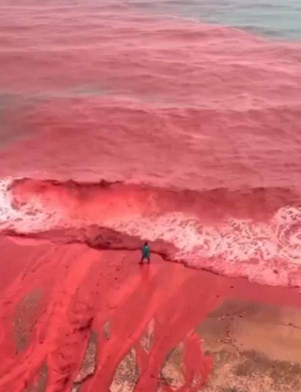 罕见!伊朗霍尔木兹岛遭遇强降雨<strong></p>
<p>华西证券交易行情</strong>,部分海域变成“血色海洋”