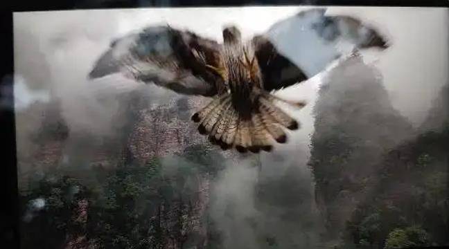 土耳其老鹰空中抓走无人机<strong></p>
<p>衢州证券公司哪家好</strong>，带上山顶“玩自拍”