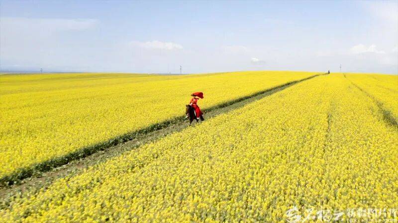 贺娇龙已安葬于昭苏公墓<strong></p>
<p>国金证券办理融资融券</strong>，其父亲亦葬于此地