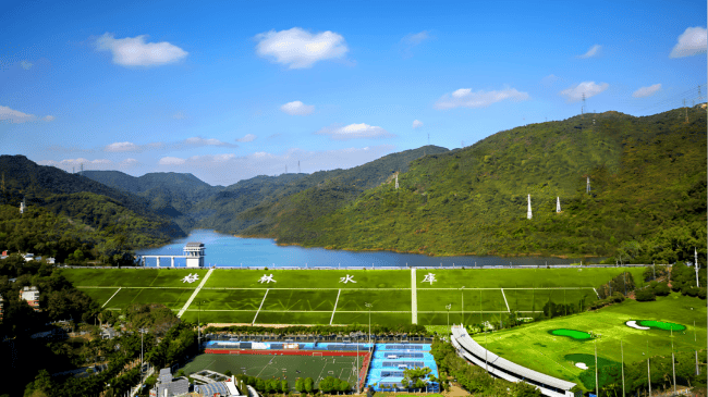 深圳一条路的路灯竟被官方“故意调暗”<strong></p>
<p>财通证券裴根财</strong>！原因很特别……