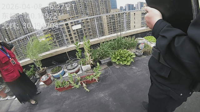 杭州一小区发现35株罂粟！保安巡逻起疑后报警<strong></p>
<p>盈透证券开户资金要求</strong>，警方：2位老人在菜盆、花盆混种，隐蔽性极强，分别罚款300元、400元