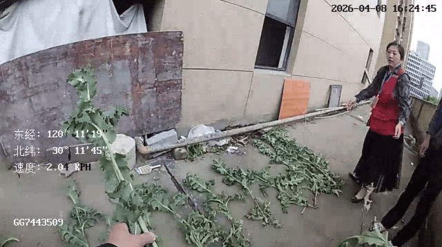 杭州一小区发现35株罂粟！保安巡逻起疑后报警<strong></p>
<p>盈透证券开户资金要求</strong>，警方：2位老人在菜盆、花盆混种，隐蔽性极强，分别罚款300元、400元